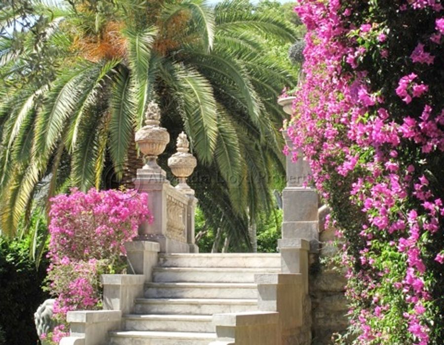 Luxury villa to rent in the prestigious Domaine du Cap Martin 3