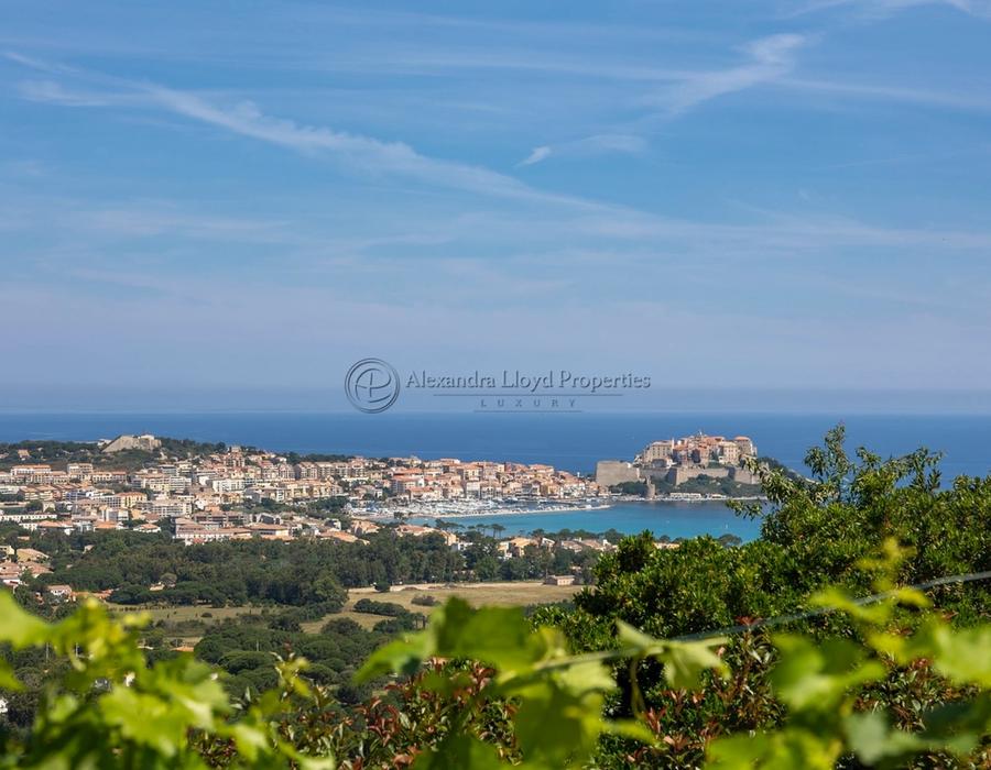 Ultimate elegance and breathtaking views in Calvi 5
