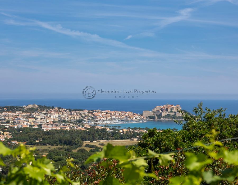 Ultimate elegance and breathtaking views in Calvi 5