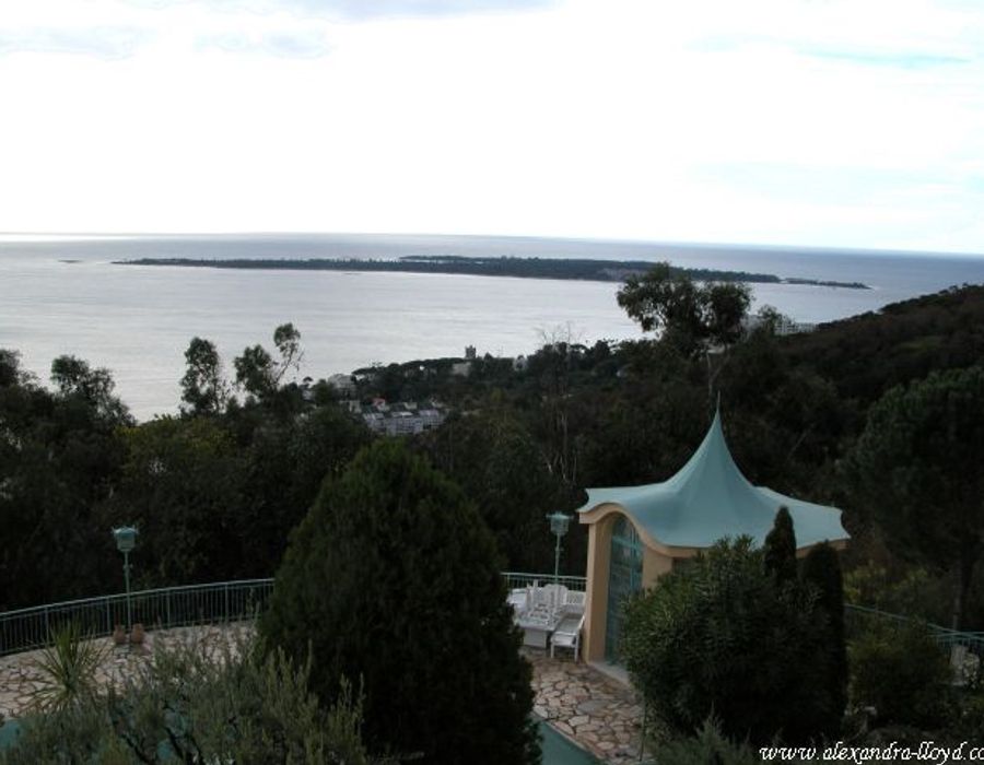 Prestigious villa in Super Cannes 5