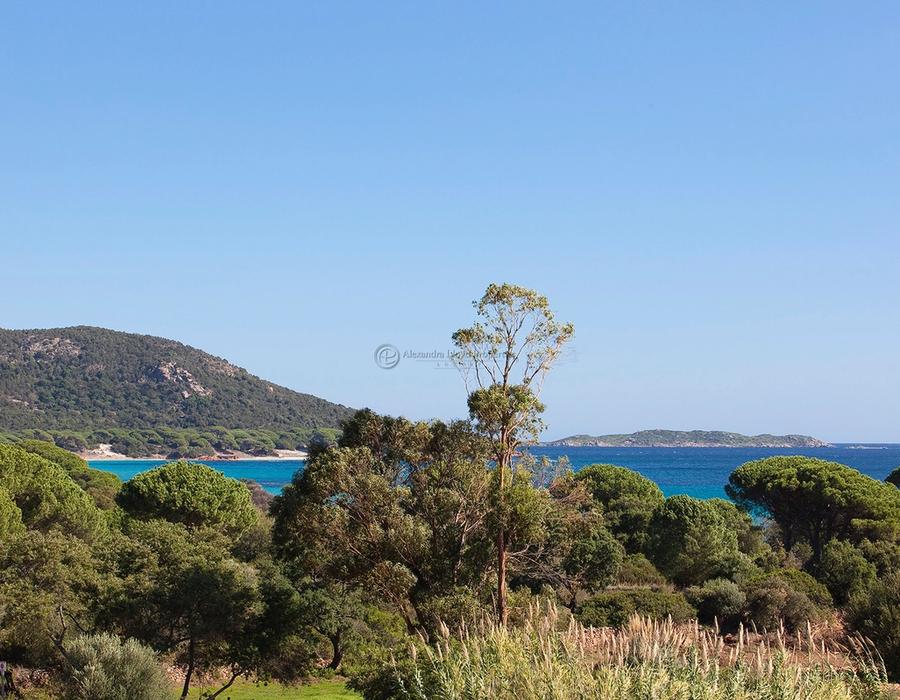 Within Walking Distance to Palombaggia Beach 4