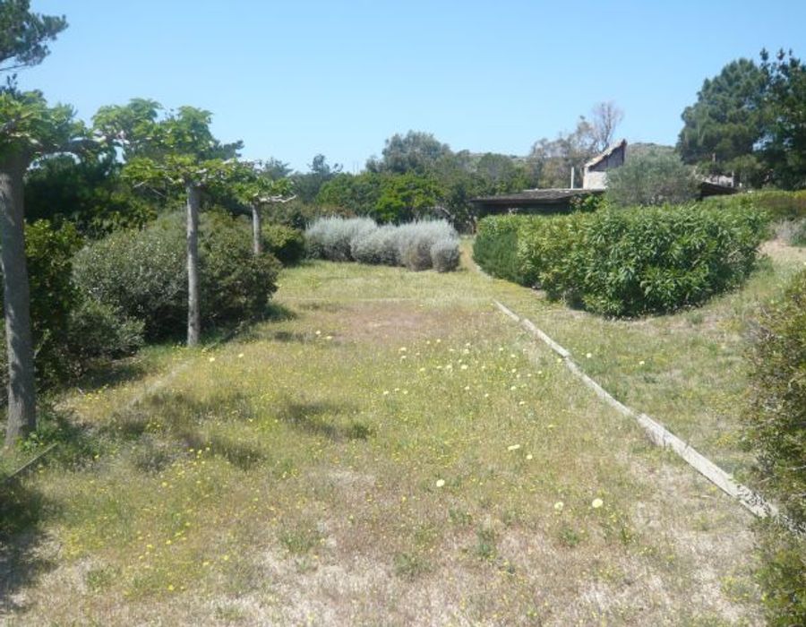 A hidden dream in the extreme South of Corsica 6