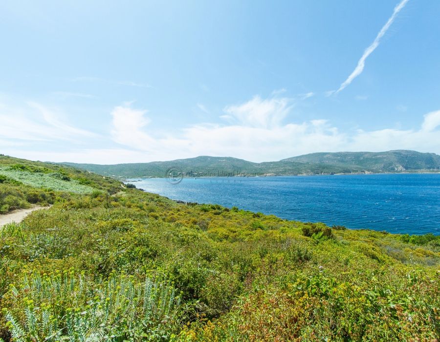 Fantastic location by Mara Beach - Calvi, North Corsica 2