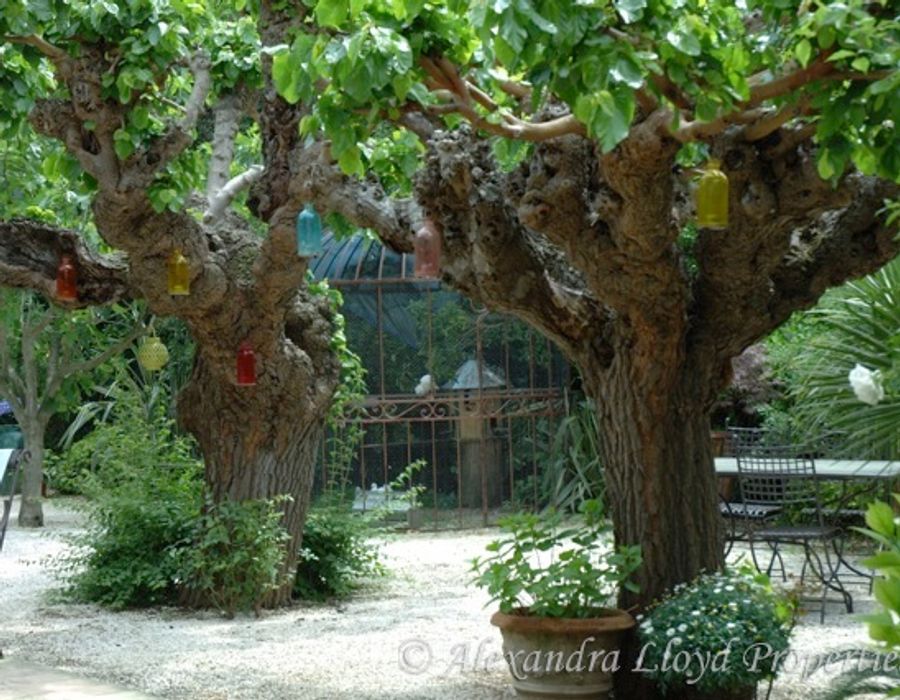 Bastide provençale for sale in St Tropez 5