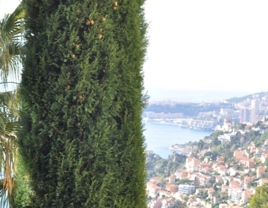 Located in the village of Roquebrune Cap Martin 6