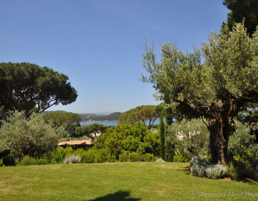New on the rental and sales market of Les Parcs de Saint Tropez 3