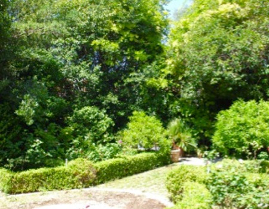 Gorgeous Belle Epoque villa - close to the centre of Cannes 4