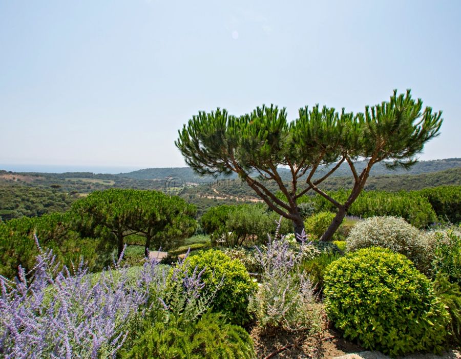 Villa neuve à Ramatuelle somptueusement décorée 1