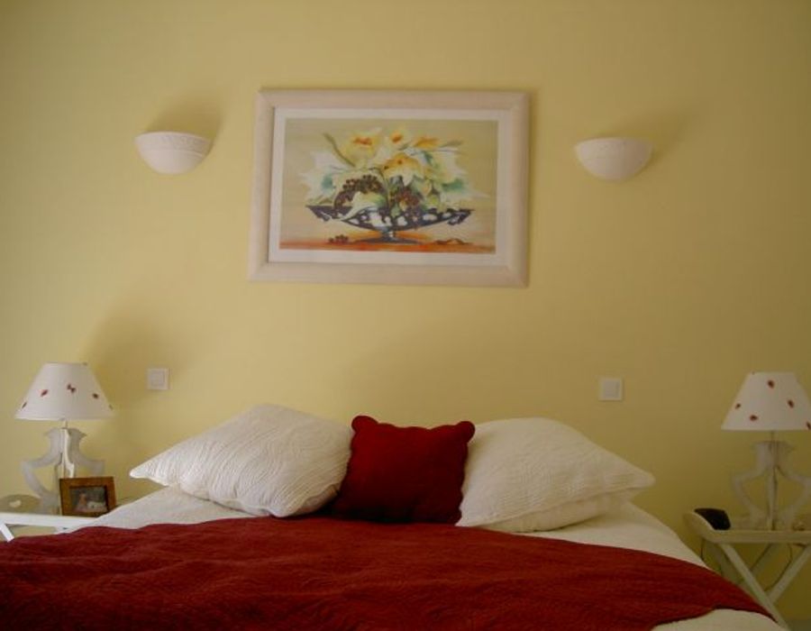 Charming villa with a view over the hills and the bay of Cannes 3