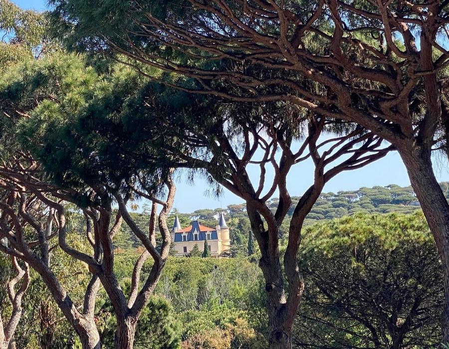 Villa for rent in the exclusive Domaine des Moulins Ramatuelle 5