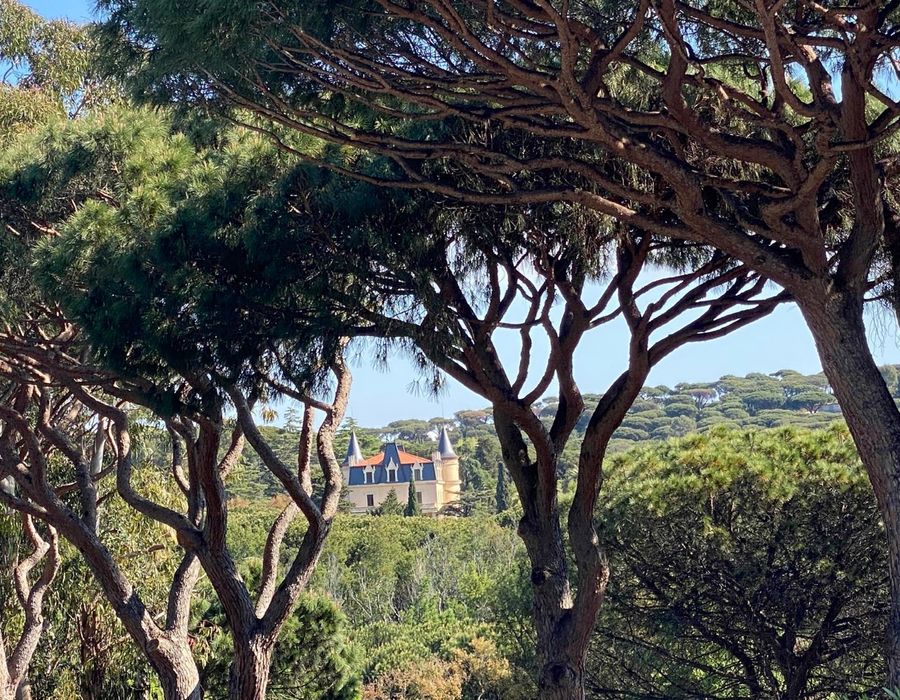 Villa for rent in the exclusive Domaine des Moulins Ramatuelle 5