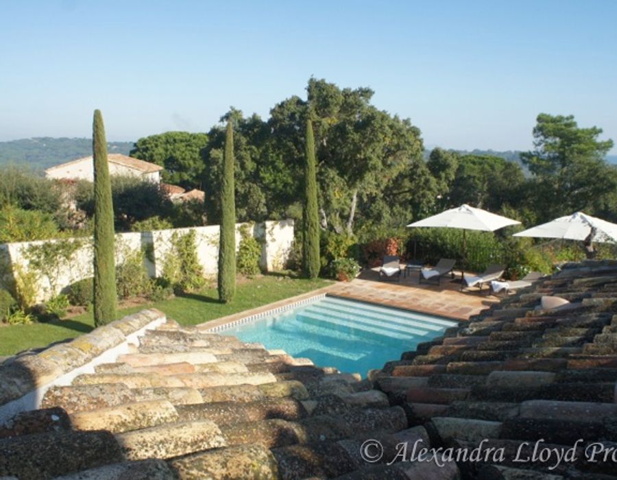 New! Capon! Saint Tropez! 6