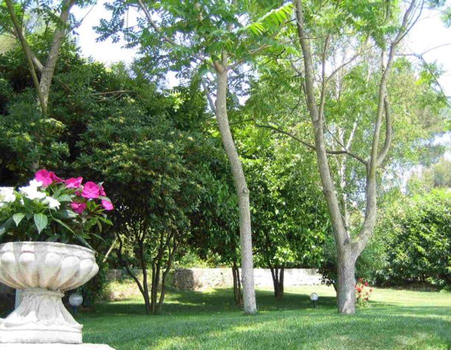 Lovely villa in a domain of Mougins 2