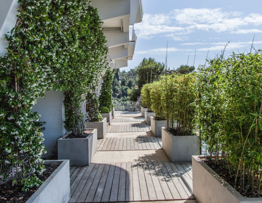 Breathtaking views over the Rade de Villefranche! 6