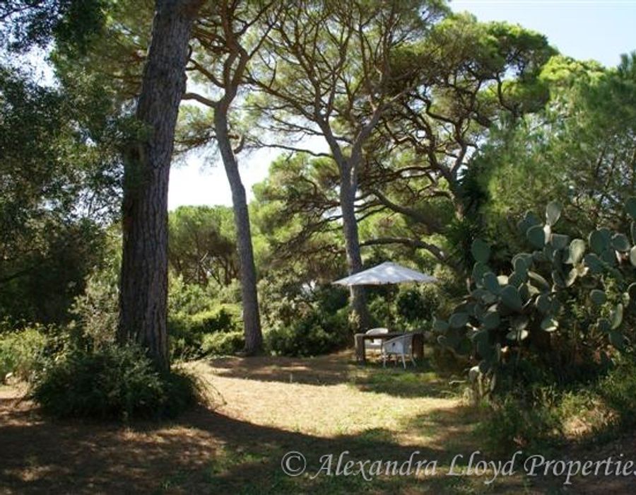 Saint Tropez - Bastide for sale 3