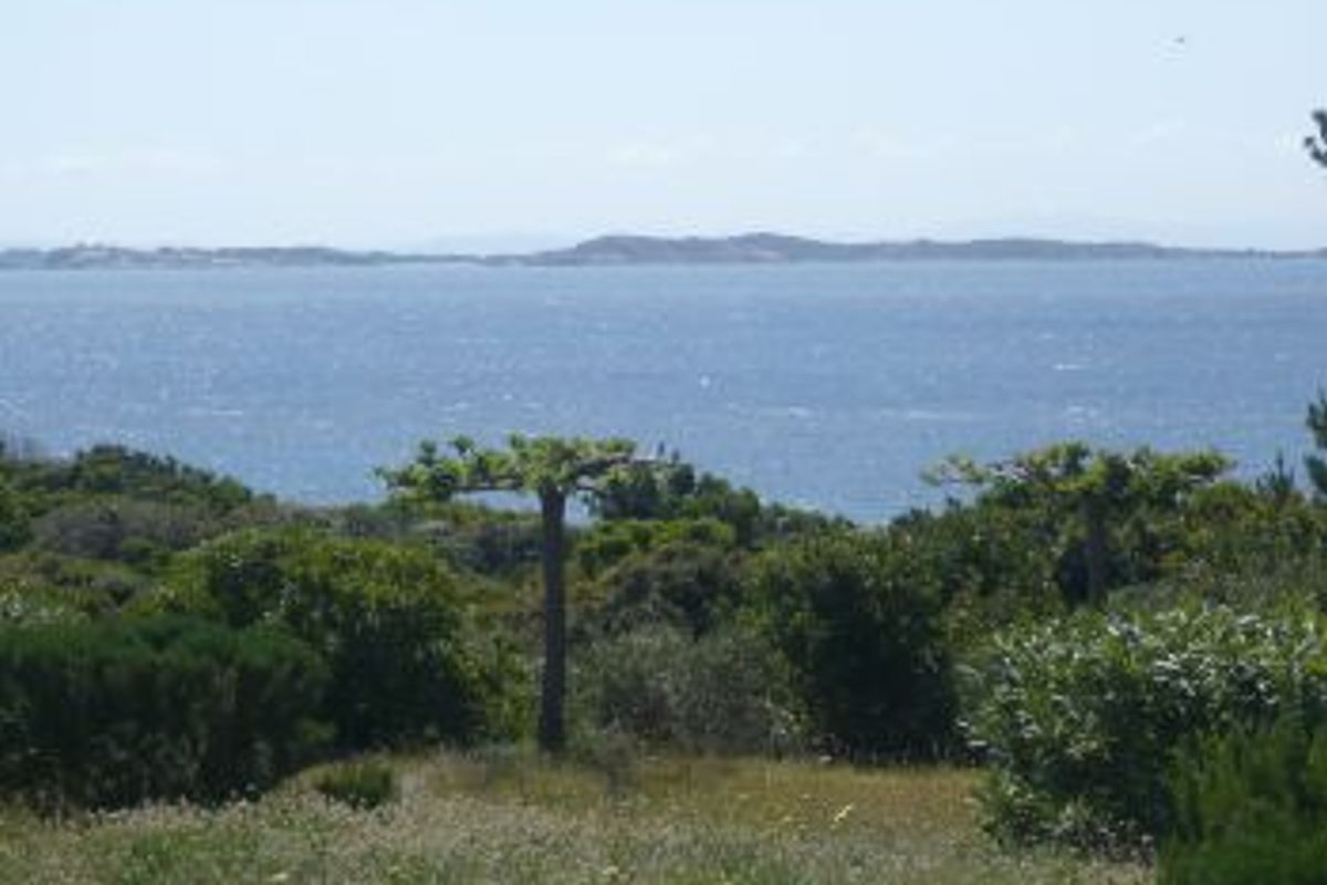 A hidden dream in the extreme South of Corsica