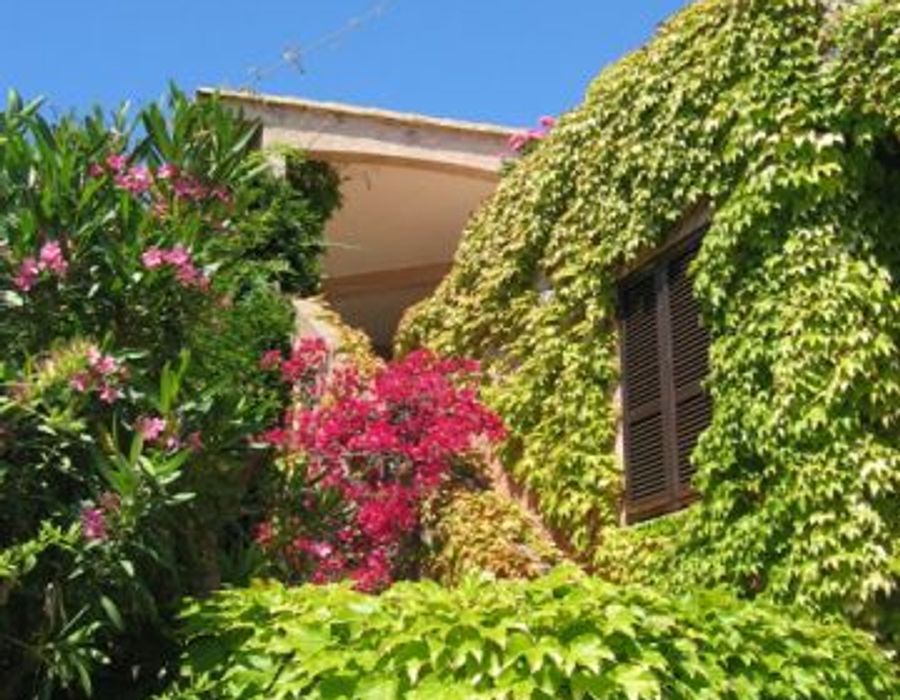 A waters edge property in Porto Vecchio, South Corsica 2