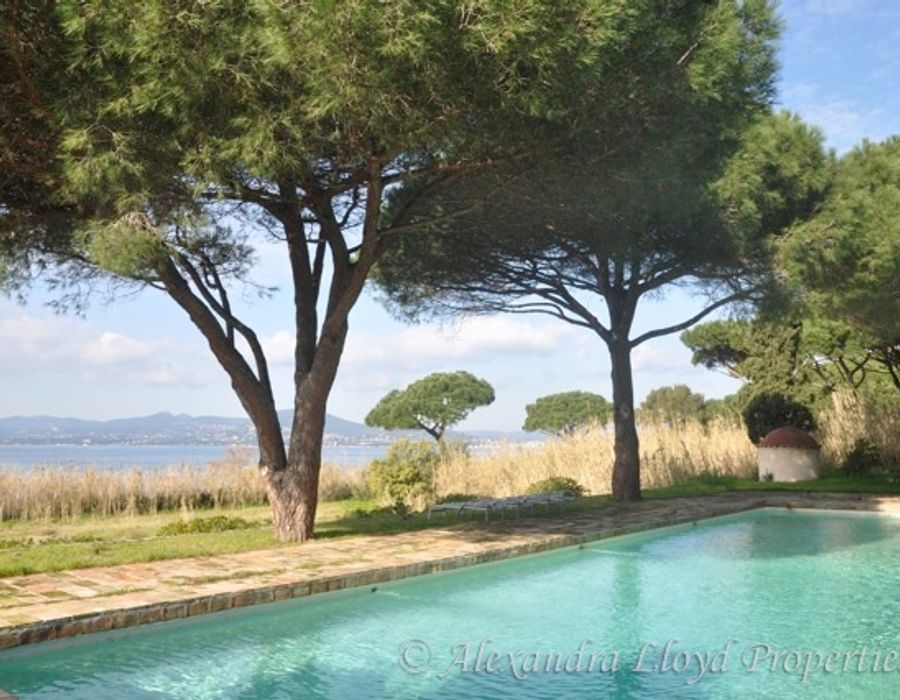 Canoubiers - Saint Tropez 6