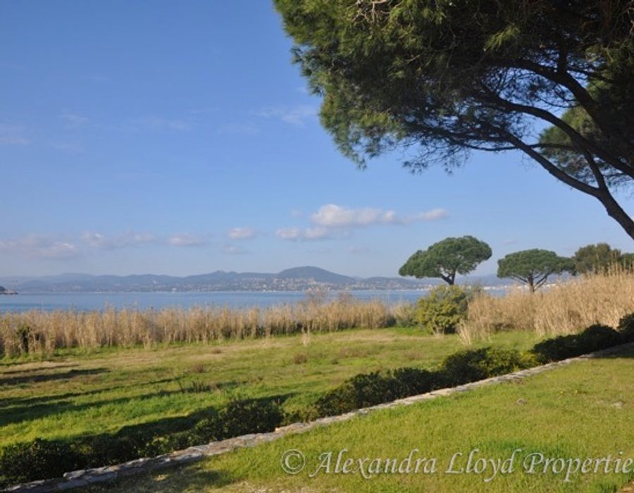 Canoubiers - Saint Tropez 5