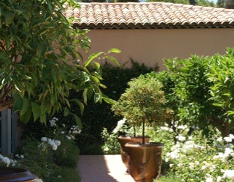 Capon - Saint Tropez 1