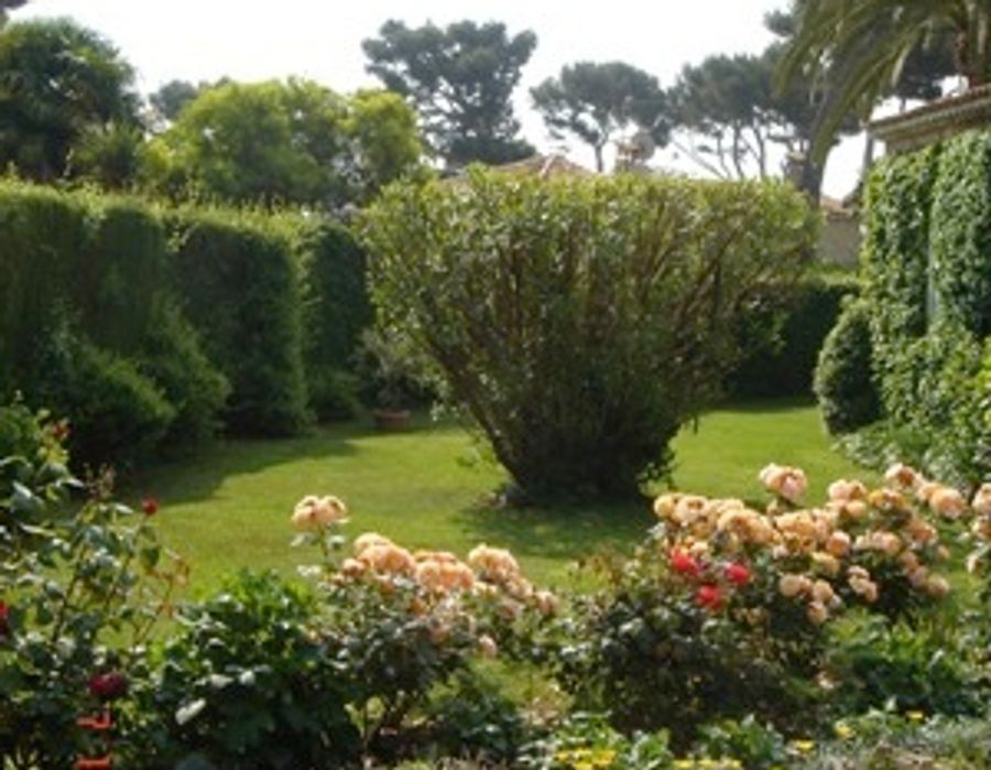 Charmante Villa provençale au Cap d'Antibes 6
