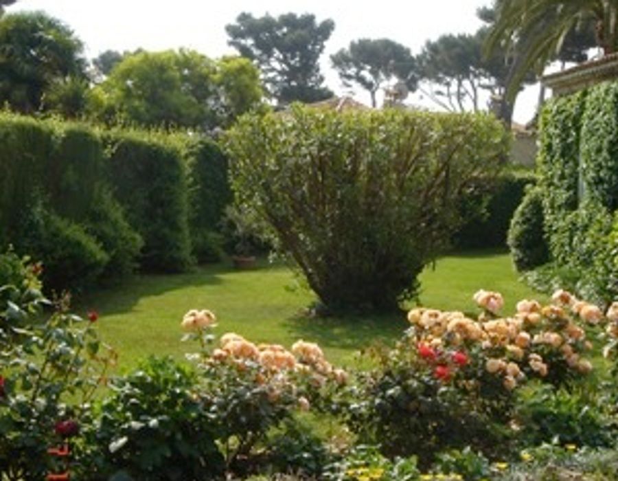 Charmante Villa provençale au Cap d'Antibes 6