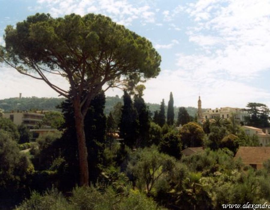 Stunning 19th century Chateau in Cannes 4