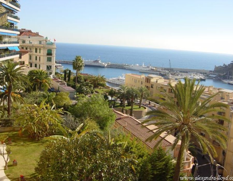 For the Monaco Grand Prix 3