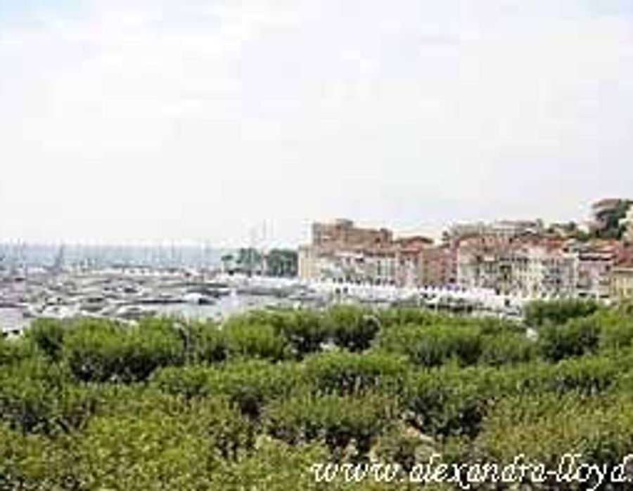 Penthouse apartment in Cannes 3