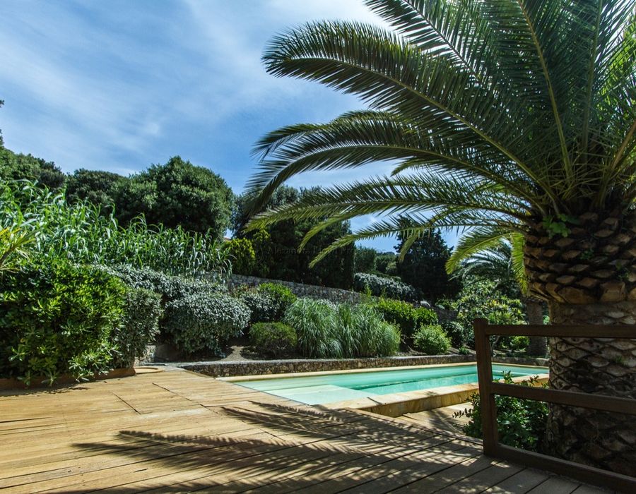 Fantastic location by Mara Beach - Calvi, North Corsica 5