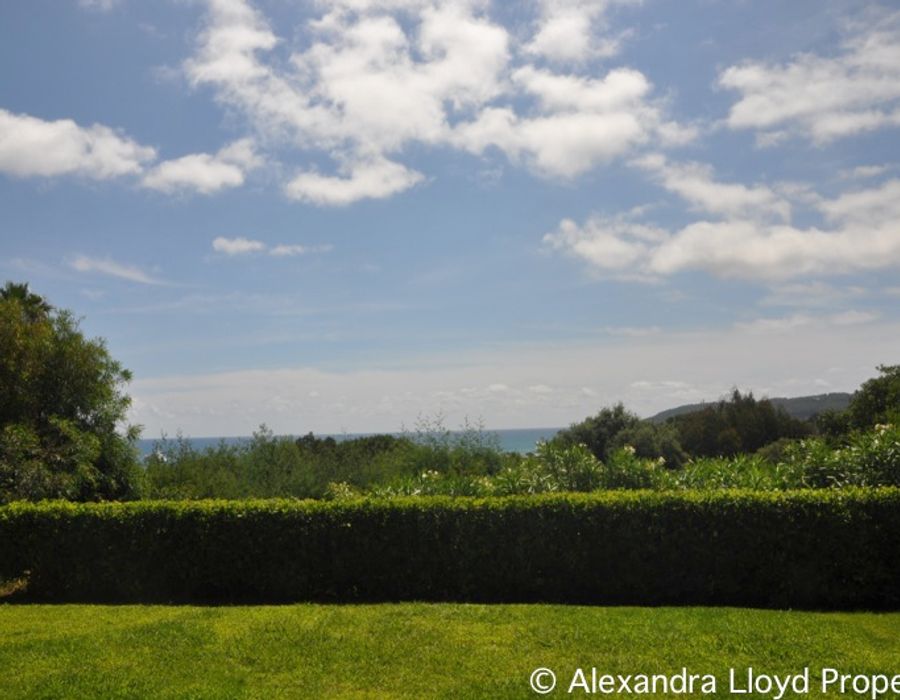 Very close to Club 55.....! 3