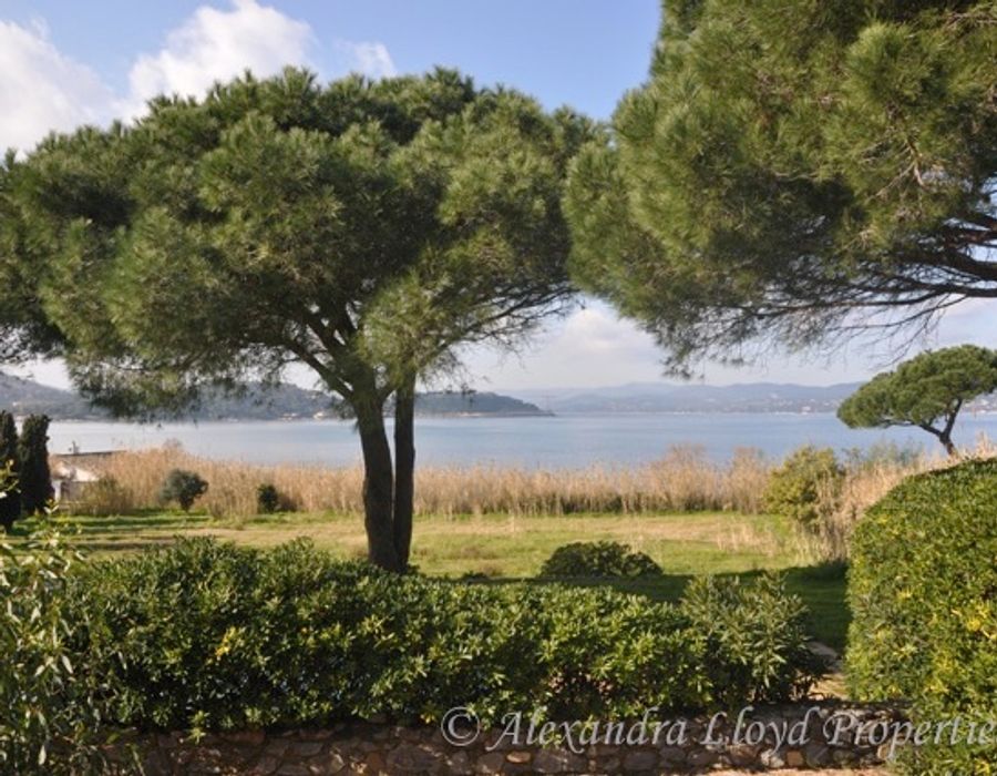 Canoubiers - Saint Tropez 2