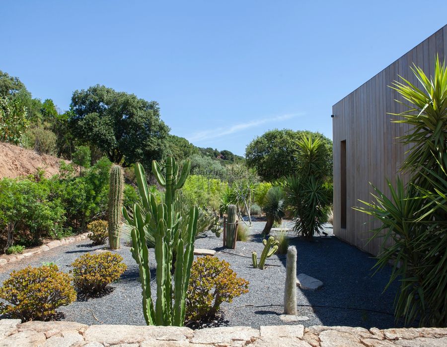 Fabulous Palombaggia — Contemporary Luxury Villa for Rent in Porto-Vecchio 4