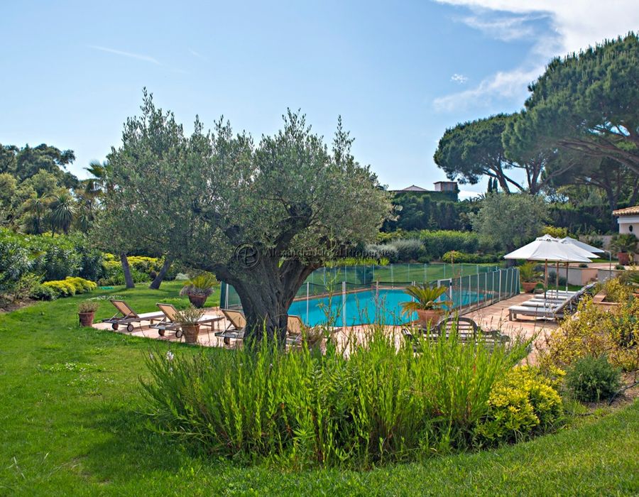 Elegant villa in Les Parcs de Saint Tropez 6