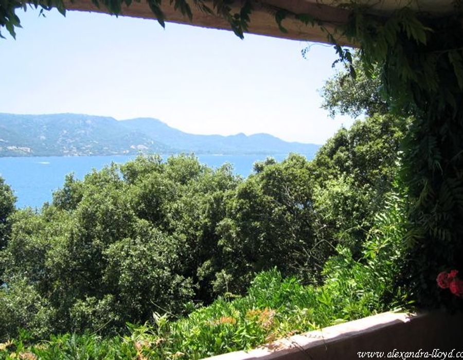 A waters edge property in Porto Vecchio, South Corsica 6