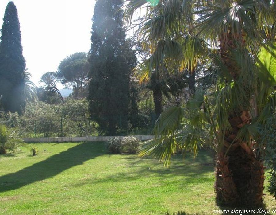 Provencal style villa in Saint Tropez 2