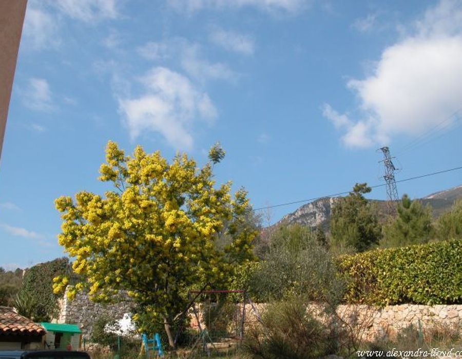 Provencal villa with delightful views over the sea and countryside 6