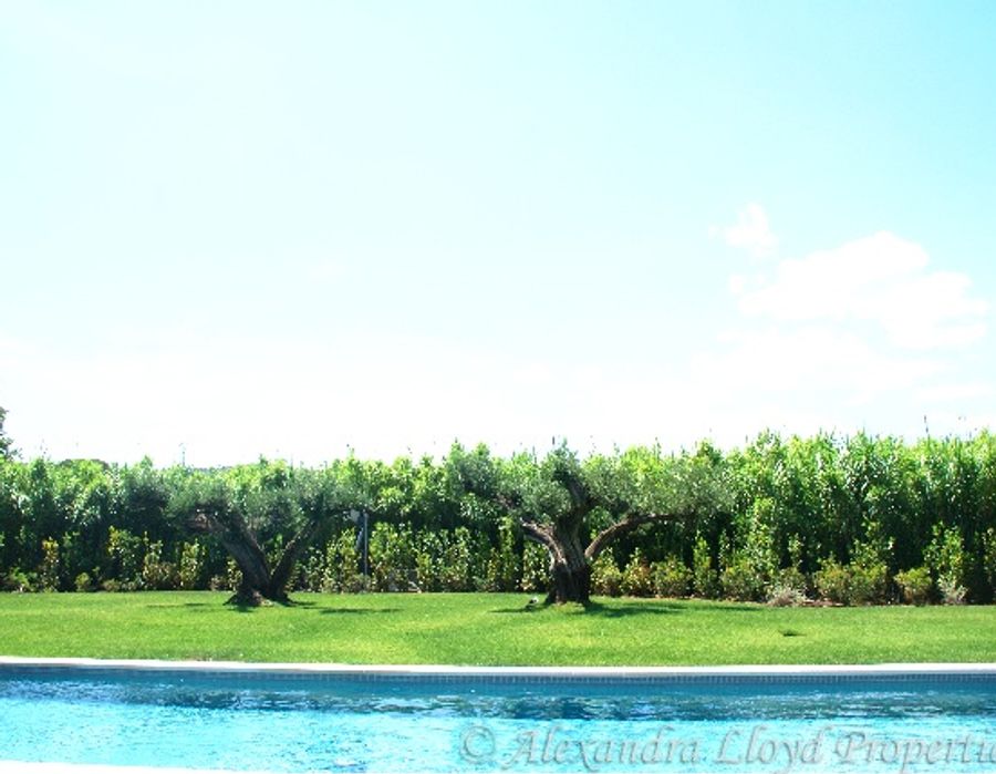 A lovely property surrounded by vineyards in Ramatuelle 5