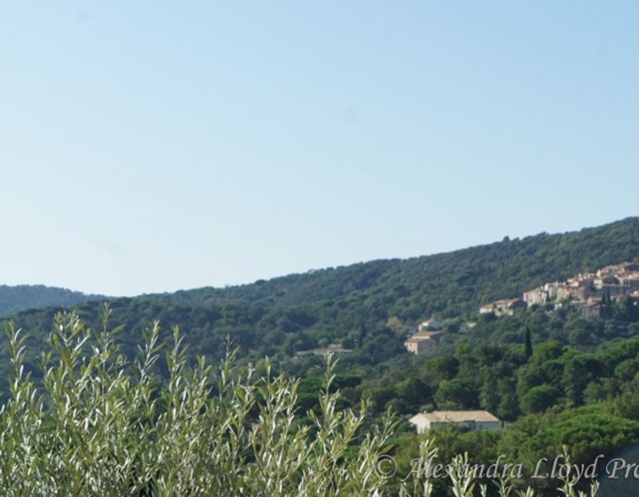 Stunning property near to the charming village of Ramatuelle 5