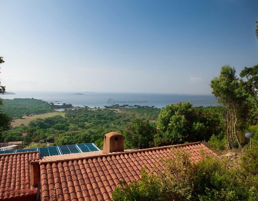 200m from Tamaricciu Beach in Porto Vecchio 2