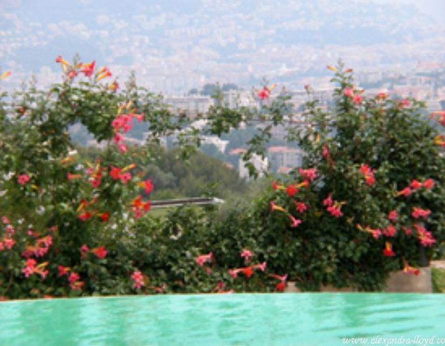 Stunning villa in the hills of Nice 3