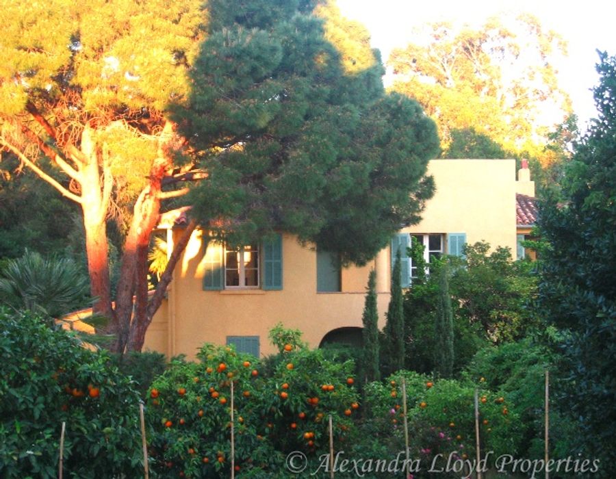 Waters edge property in Gigaro 2