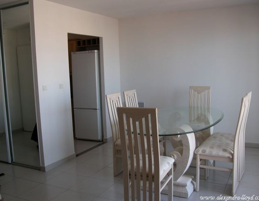 Apartment for Monaco Grand Prix  3