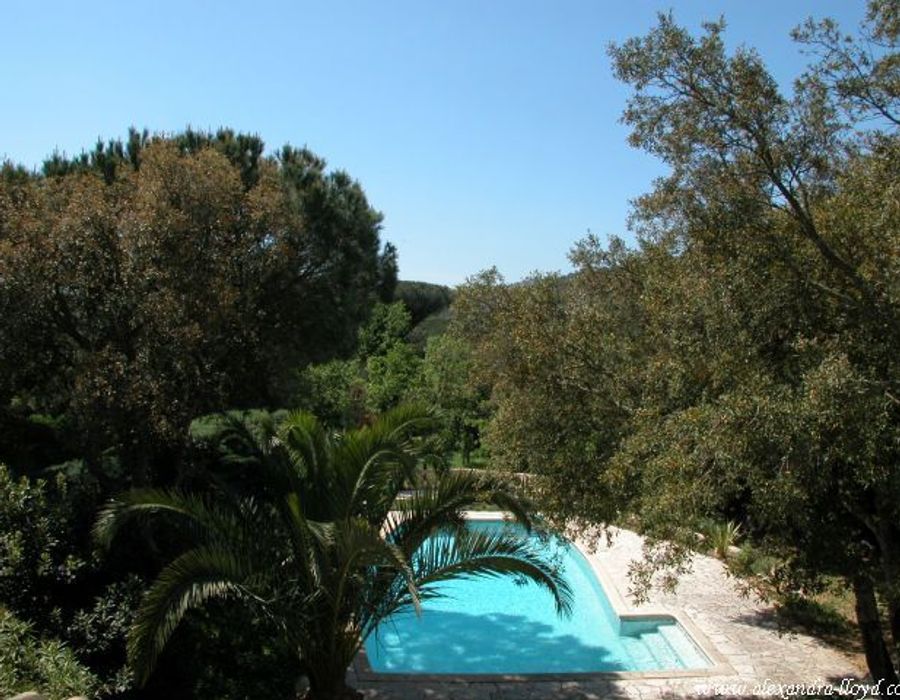 Lovely Provencal style villa in impeccable condition, a true delight 2