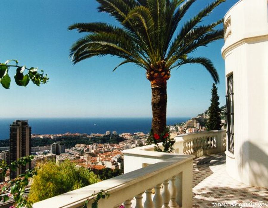 Belle Epoque villa overlooking Monte Carlo 5