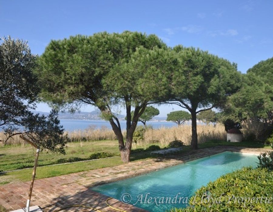 Canoubiers - Saint Tropez 4