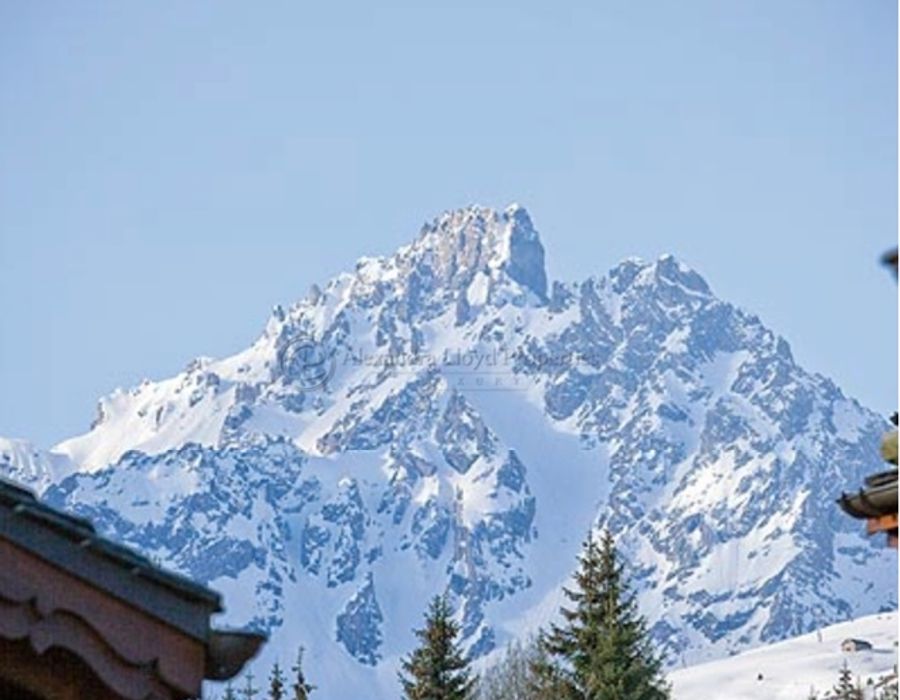 Ski in-Ski out luxury apartment in Courchevel 3