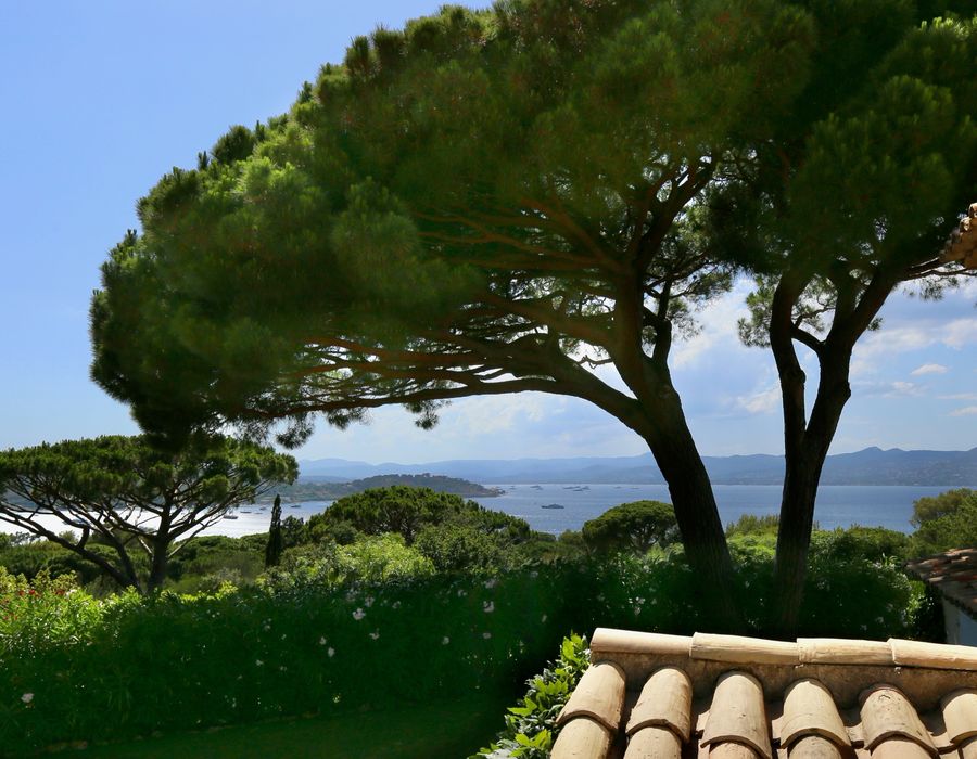 Breathtaking views from Les Parcs de Saint Tropez 4
