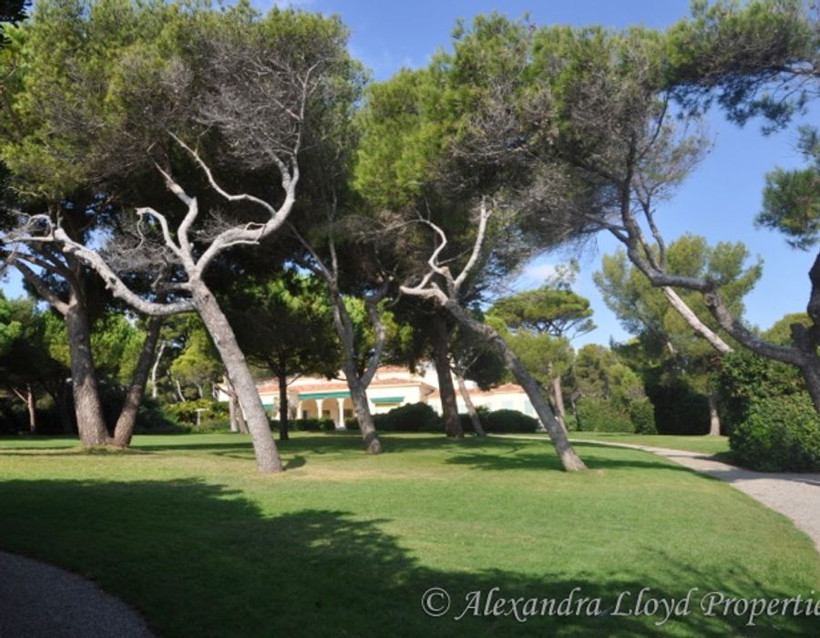 An exceptional waters edge property on the tip of the Cap d'Antibes 6