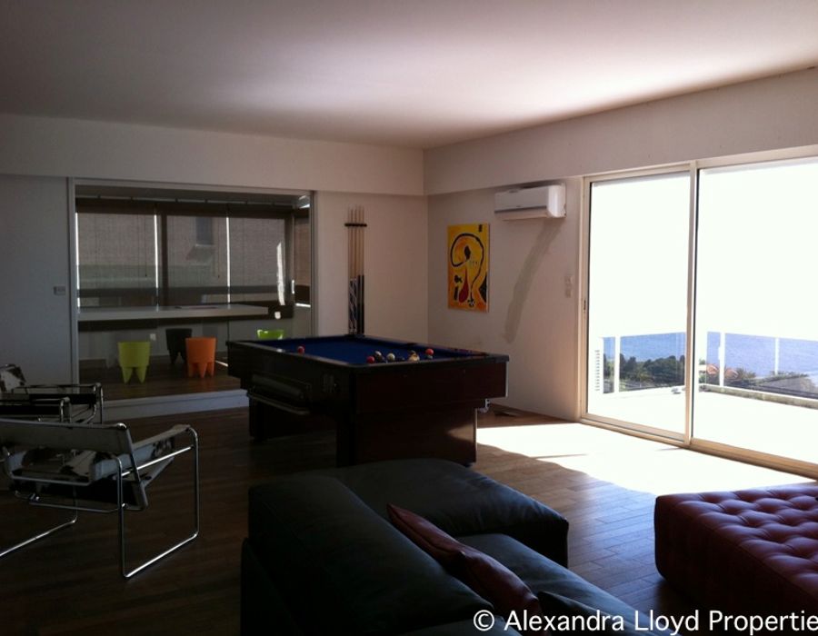 Magnificent duplex apartment with a wonderful panoramic view. 3
